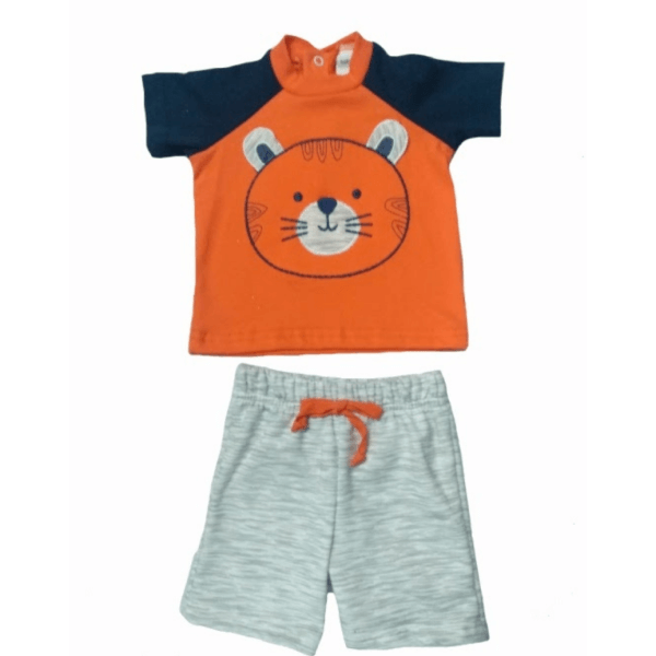 Orange Lion Printed T-shirt And Shorts Set For Toddlers